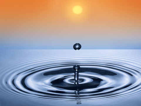 Mindfulness